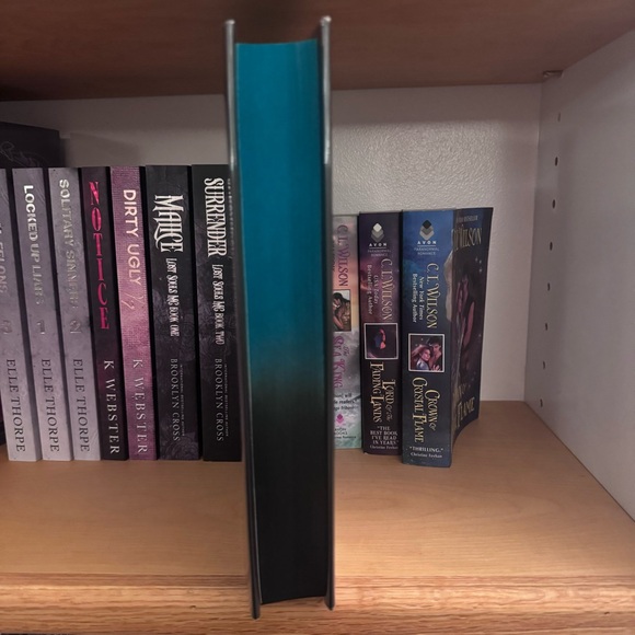 What the River Knows by Isabel Ibañez Goldsboro - Picture 3 of 6